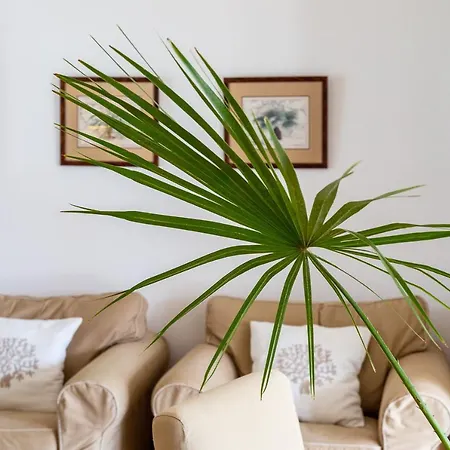 Holiday home Ca Fiorini Vista Mare *