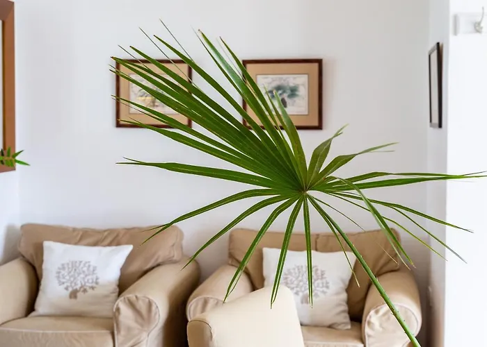 Feriehus Ca Fiorini Vista Mare *